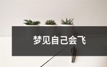 在梦中体验飞行:我梦见自己可以自由飞翔于天空之上的惊人体验