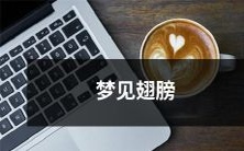 在梦中经历了飞行的美妙,畅享翅膀上的自由奇妙感觉!