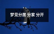 夜间幻想:突然之间失去伴侣而分手,家庭分裂导致彼此远离与分居的梦境体验