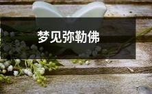 在梦中见到弥勒佛:探究佛教信仰与潜意识解读的梦境探索