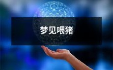 在梦中经历了喂养猪群的体验