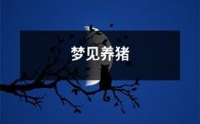 在梦中遇到的养猪场景:亲身经历的惊人时刻!