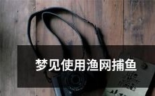 睡梦中目睹自己被渔网所困,手握鱼竿捕捉鱼类的生动梦境