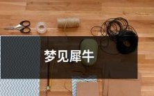 细枝末节的梦境之旅:在悠长梦境中重逢犀牛的奇妙经历