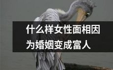 婚姻对女性的财富影响:哪些面相的女性更容易变成富人?