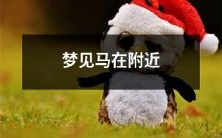 做梦时出现马的身影,或许是见到了附近的马匹?