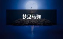 在一个神奇的夜晚,我做了一个梦,梦见了一匹可爱的马驹和它踢蹬着优美的舞步,仿佛它展现给我这个世界的美好和无限可能