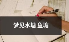 梦见清澈水塘和繁盛鱼塘,在梦中领略水上生态系统的美妙之旅