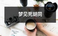 在梦中遇到死胡同:一场神秘而幻觉似的旅程