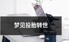 梦见自己投胎转世,寓意深刻的梦境解析与探究