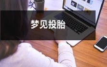 为何我们做梦时会梦见投胎的情景,这可能代表了哪些生命观念和灵性信仰?