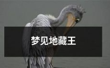 在梦中遇见护佑众生的佛菩萨地藏王,感受到超凡力量与慈悲智慧的震撼体验!