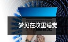 睡眠梦境中的极度不安:亲身体验在墓地附近睡觉