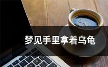 夜晚梦境中手托一只缓慢爬行的龟,心境究竟如何?