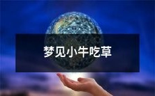 在梦中目睹小牛在绿草坪上自由地咀嚼食物:我梦见了小牛吃草的场景