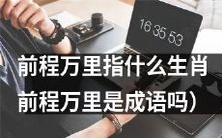 前程万里是哪个生肖所代表的意义?是否为成语?