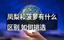 如何区分凤梨和菠萝?挑选的技巧有哪些?