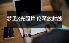 我做了一个奇怪的梦,梦见伦琴向我展示了她的X光照片,类似于放射线的蓝色光芒闪烁着,令人神秘莫测