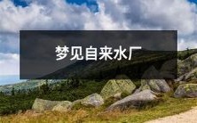 经历了一场奇幻旅程:睡梦中探索自来水厂的神秘世界!