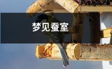 入眠时梦见蚕室,惊醒后仍深思疑虑:是否预示着什么背后深意?