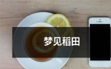 在清晨梦境中穿越金黄稻田:一个充满诗意和生机勃勃的梦境探索