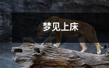 梦见自己上床,意味着什么?解读你的梦境中的性意象和心理暗示