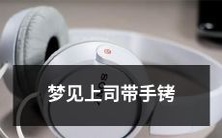 睡眠中的幻觉:我梦见了我的上司戴着奇怪的手铐!