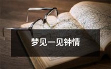 做了个梦,梦见自己与一位陌生人般一见钟情的情境浪漫绝美而感慨万千