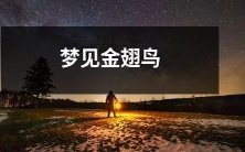 在梦中目睹闪闪发光的金翅鸟,启示你心境的美好与思维的超越