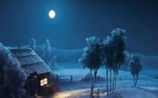 适合兔和猪的婚姻是什么样子的?他们的生肖组合是否确实能够融洽相处?