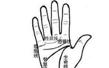 什么时候能结婚?让免费算命来告诉你!探寻婚姻运势,为美满婚姻护航!