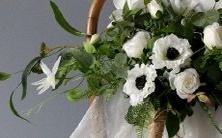 魔蝎女孩的星座配对:谁是最适合她的星座男人?