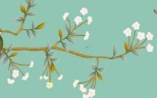 2023年虚岁,属猴的已经年满多少岁呢?