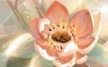 探究1973年出生的牛在2022年的财运提升策略