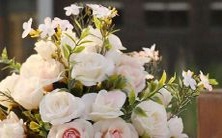 探寻12星座人真实面貌,解密他们背后的秘密与真相