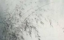 1970年属狗男的2022年综合运势预测及每月详细的运程分析