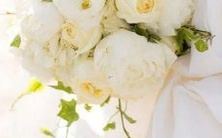 哪个星座?排名一览,让你不再迷茫