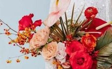 对于某些人来说,射手座往往被指责为“白莲花婊”,但这是否真的是事实呢?