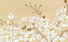 2022年:对于男鼠和女龙的运势,你需要知道的所有信息!