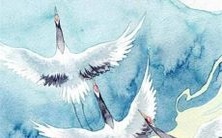 属龙的人在2023年哪些月份会遭遇桃花?