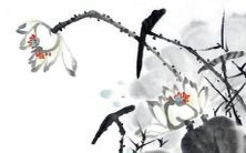 什么时候是属兔2023年最佳结婚月份?