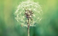 究竟属虎的人和属虎的人之间是否有良好的兼容度?能否长久维持虎和虎的婚姻关系?