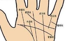 女性手相图解大全,详细解析女性右手手相如何辨别寓意