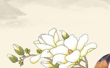 揭秘2022年属猴人的全方位运势解读:从生肖运势到星座运程,全面分析!