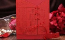 生肖为虎的人与星座为狮子的人存在的异同以及相互之间的契合度分析