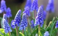 做梦梦见装修店铺,代表着怎样的象征意义和预示?