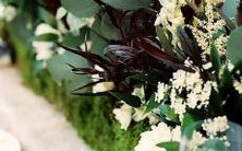 以寿命为准,哪个星座的人寿命最短相对较短?