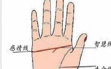 你是否想知道如何根据手掌心来看相?探究手掌心的手相学知识!