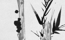 庚子年的偏印坐劫财究竟如何解释?对于身弱者在面对劫财时应该有何警觉?而对于身强者,则应该如何避免遇到劫财的不吉之兆?