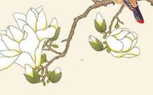 属龙的人在2023年将如何度过他们的生日?-探讨龙年出生人的成年和生命阶段